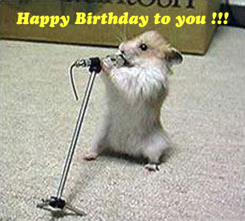 HappyBirthdaytoYouHamster.jpg