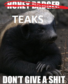 HoneyBadger1.jpg