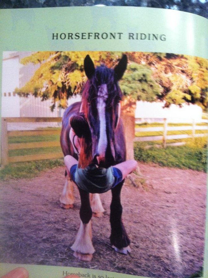 Horse.jpg