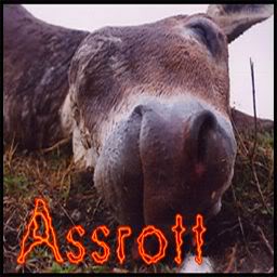assrott.jpg